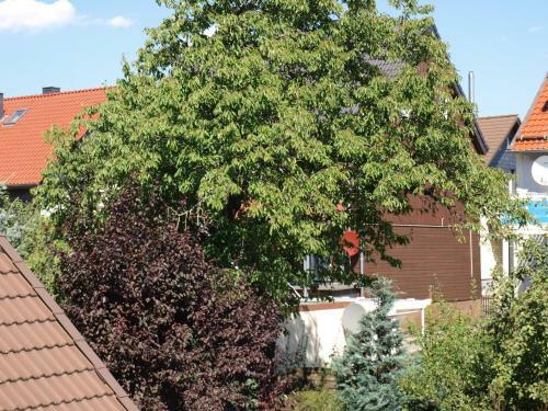 Apartamentos Ferienwohnung K�hler