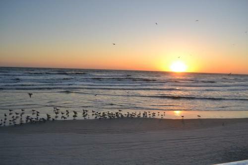 Apartamento Daytona Beach Studio Condo With Beautiful Ocean View