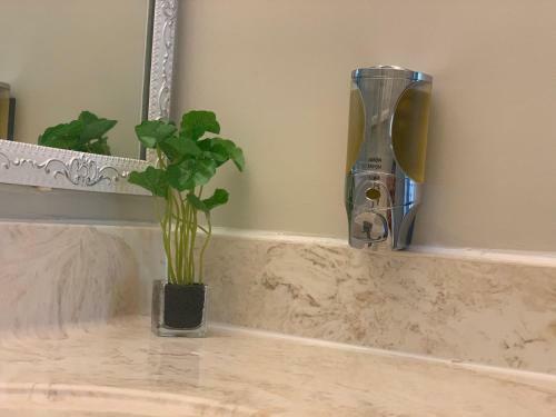 Villa Family Friendly ? Waterfront Home ? Minutes To Downtown