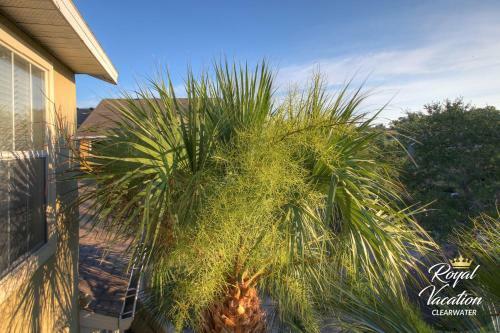 Apartamento The Avalon Royal Dream