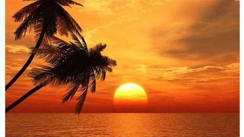 Pelican Cove #301