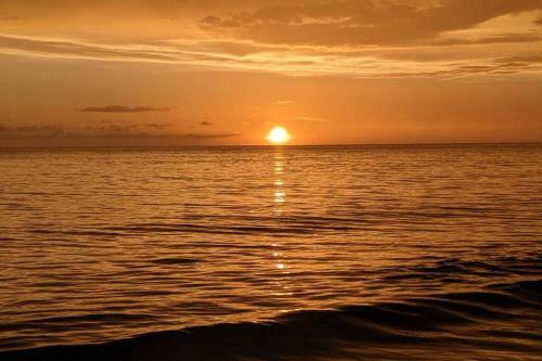 White Sand & Cool Waves Steps From Your Door!