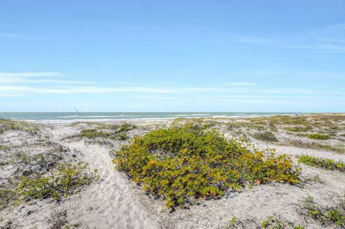 Pelicans Pointe 4a