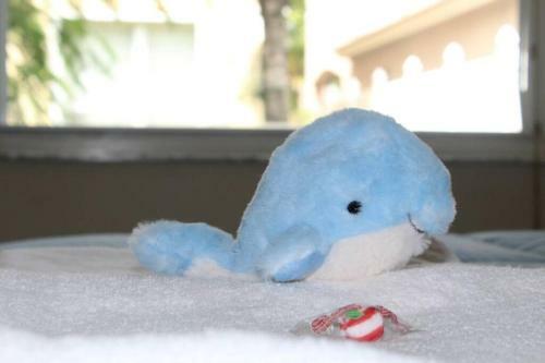 Apartamento King Bed Suite Near The Keys, Key Largo W/pool+