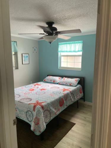 Gorgeous Seaside Seashell Cottage!