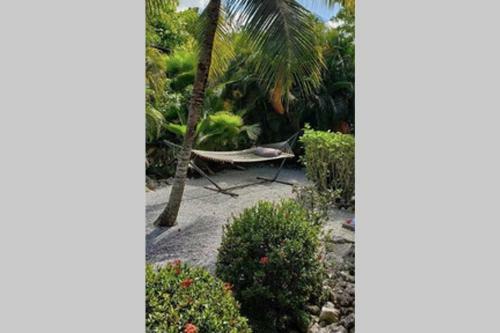 The Beach House With Heated Pool And Spa