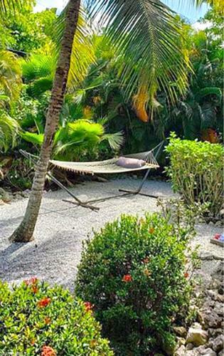 The Beach House With Heated Pool And Spa