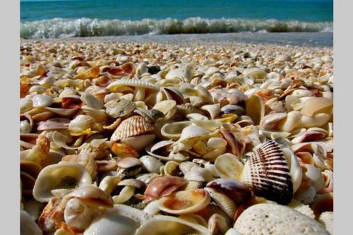 Apartamento Beach Front Condo With Amazing View Of Gulf