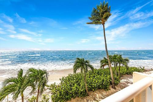 Apartamento Leonardo Arms 230