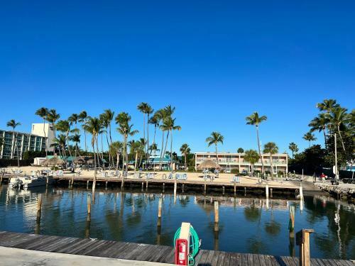 Hotel Breezy Palms Resort