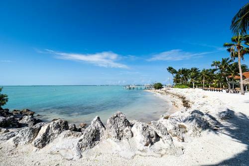 Newly Renovated 3br2ba Duplex With Private Dock