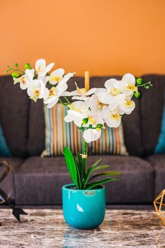 Apartamento The Hainsley On 18th St