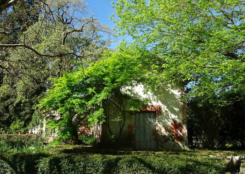 Hotel Jardin De Carrejo