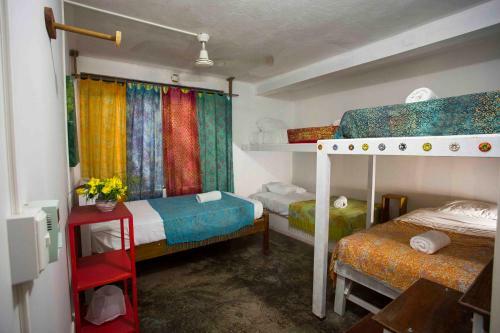Casajungla Hostel