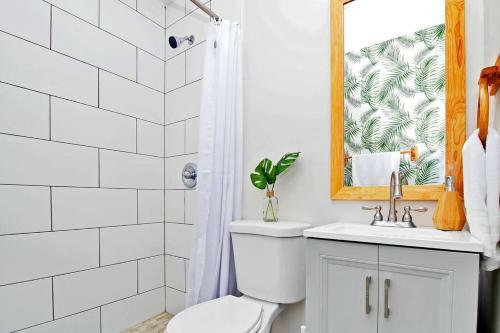 Tropical Studio In Hollywood Florida