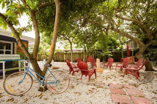Artsy Studio In Hollywood, Fl