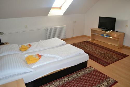 Hostal Penzion Ludor