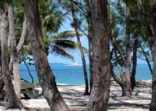 Apartamento Turtle Cay Island Delight C327