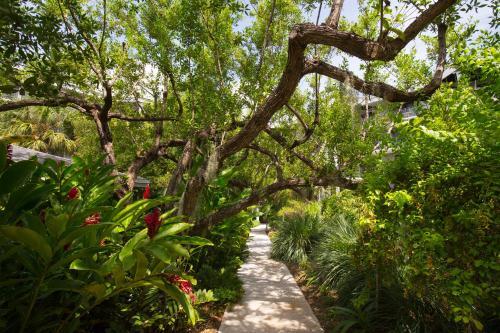 Apartamento Turtle Cay Island Delight C327