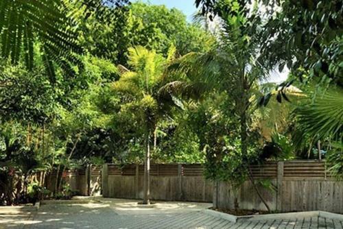 Apartamento Duval Street Suite W Kitchen And Shared Heated Pool