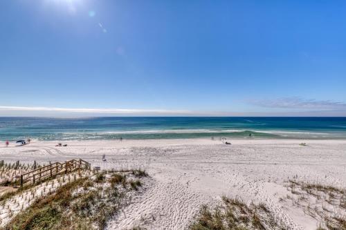 Sand Dollar