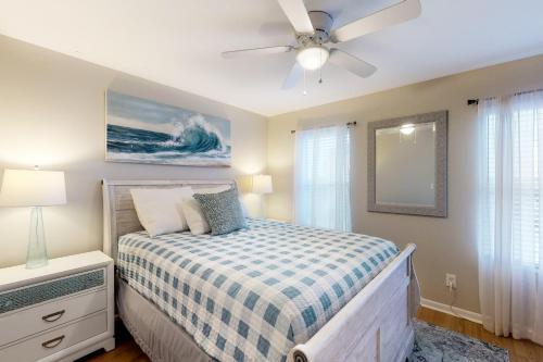 Sand Dollar