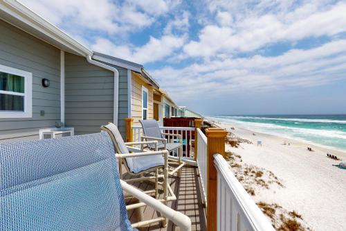 Sand Dollar