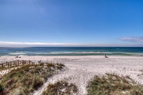 Sand Dollar