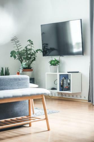 Apartm�n V Centru