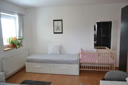 Hostal Pension U Sovy