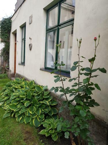 Apartm�ny U Otavy