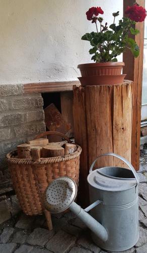 Apartm�ny U Otavy