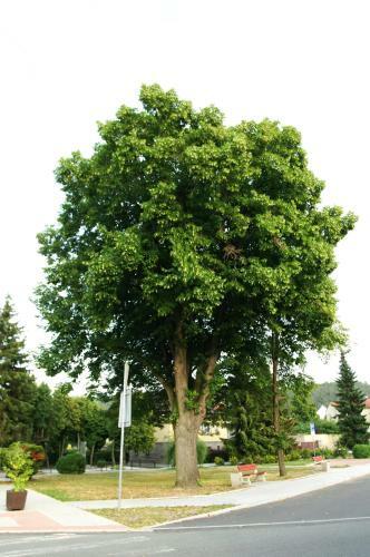 Podkrov� S Koupelnou