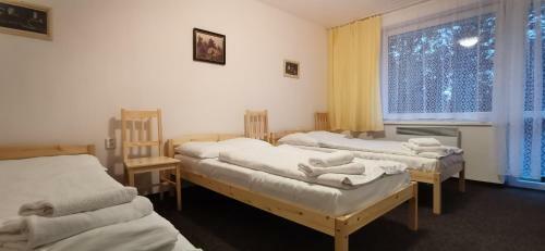 Hotel Svratka