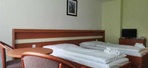 Hotel Svratka