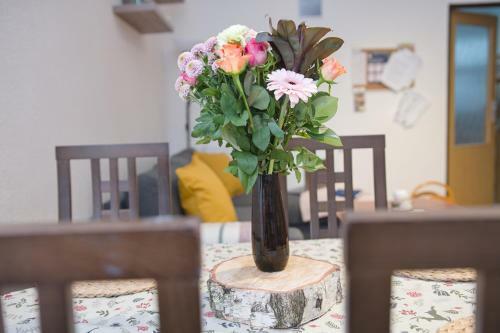 Apartm�n Pod ?ernou Horou