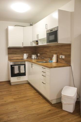 Apartm�n Svoboda Nad �pou
