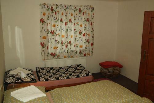 Apartamento Zelen� D?m