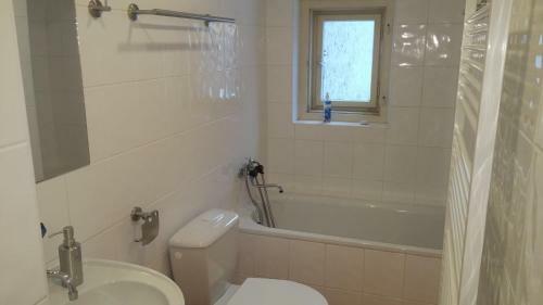 Apartamento Zelen� D?m