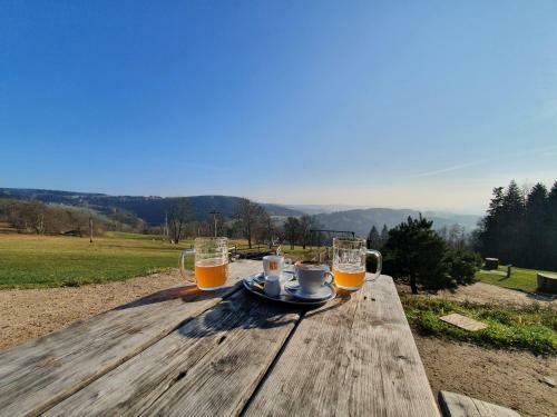 Pron�jem Apartm�nu V Tanvaldu