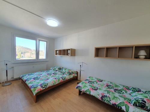Pron�jem Apartm�nu V Tanvaldu