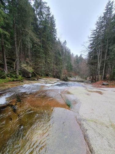 Pron�jem Apartm�nu V Tanvaldu