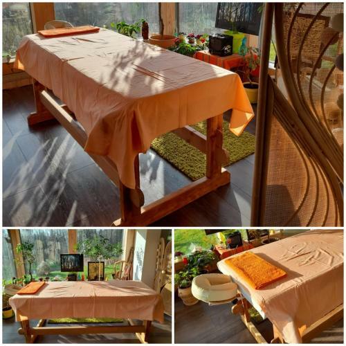 Fox House Tis� / R�jec