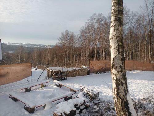 Fox House Tis� / R�jec