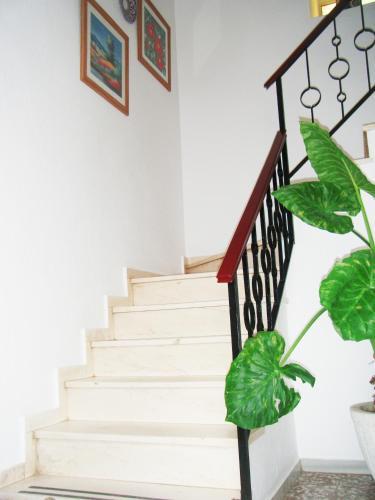 Hostal Muriel