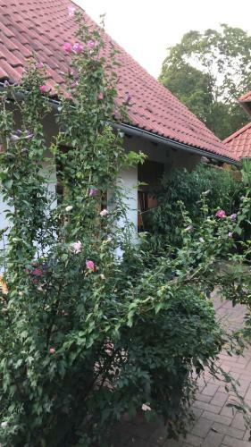 Haus Spreewaldimkerei