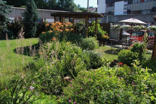 Apartm�n Bra?ov, T�n Nad Vltavou