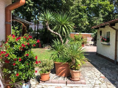 Apartamento Ferienhaus Eichwalde