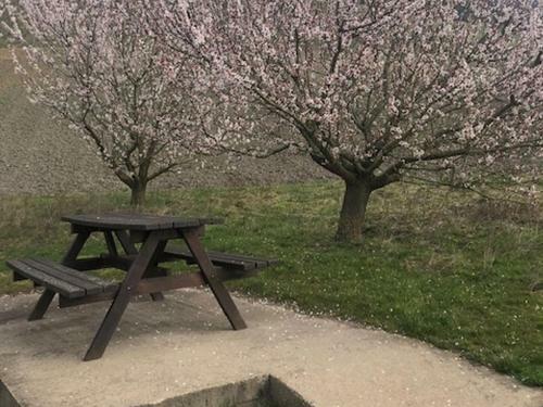 Apartamento Ferienwohnung Weinberg