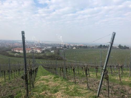 Apartamento Ferienwohnung Weinberg